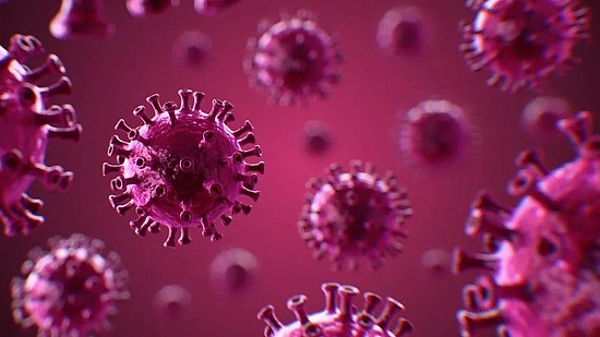 《科学》子刊发现流感病毒或可直接造成心脏损伤 - 2
