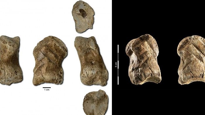 [图]尼安德特人的骨雕被发现：或许是最古老的艺术品 - 1
