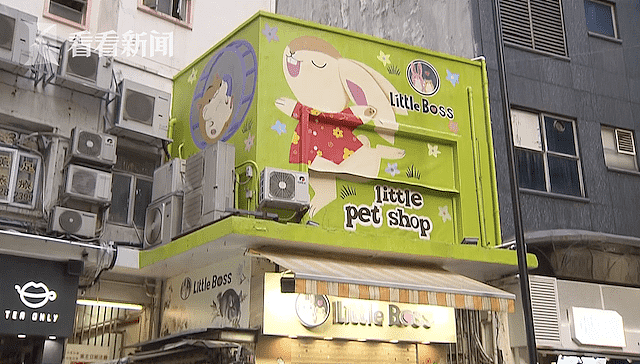 香港一宠物店仓鼠阳性，店员和顾客先后确诊，不排除动物传人情况 - 1