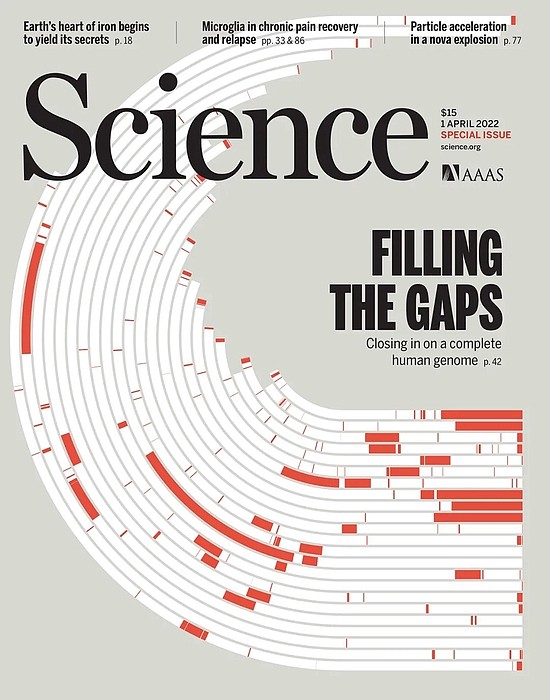 《科学》封面重磅：迄今最完整的人类基因组测序结果公布 - 1