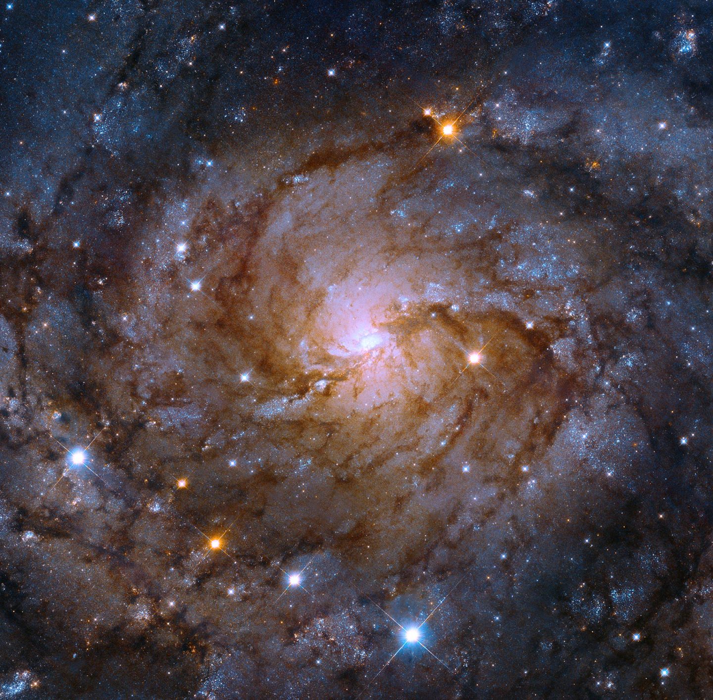哈勃捕捉到一个精致的“隐藏星系”--IC 342 - 1