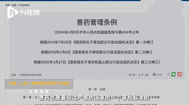 上海女高材生制售猫药治绝症被刑拘 曾被称为上海猫版“药神
