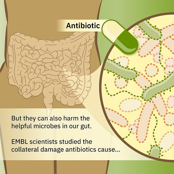 Antibiotics-Infographic-2.jpg