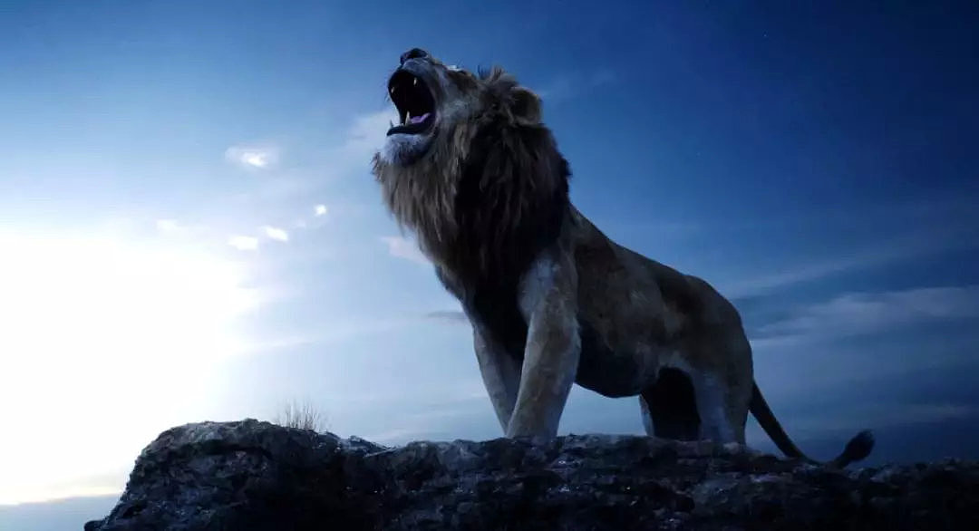 巴巴里狮vs东北虎，谁才是真正的猫科之王？结果竟然也是三七开 - 9