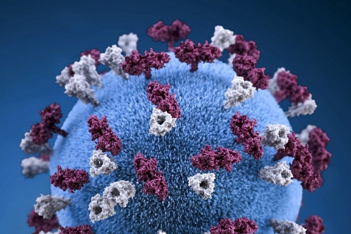 英国研究称未来可能出现超级变异新冠病毒：致死率高达35% - 1