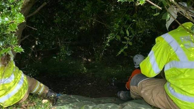 ​83岁老人掉下山沟不知所踪 小猫引导救援人员找到主人 - 1