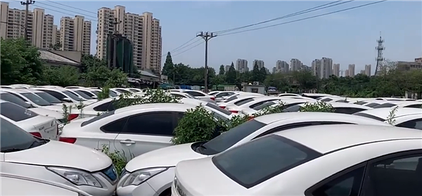 杭州郊外惊现网约车“坟场” 数千辆新能源车遭弃 - 1
