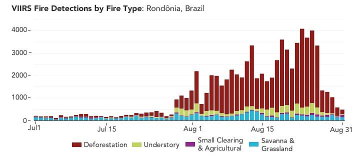 研究：亚马逊西部烟雾弥漫的天空主要是由森林砍伐引起的火灾产生 - 5
