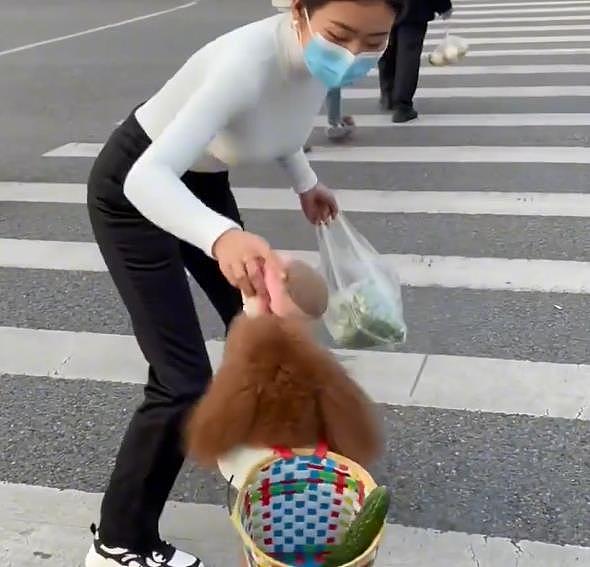 重庆：狗狗和主人去买菜，背着背篓的样子引人围观：这成精了吗？ - 4