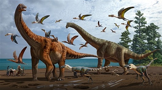 新疆哈密翼龙动物群中首次发现大型恐龙化石 - 1