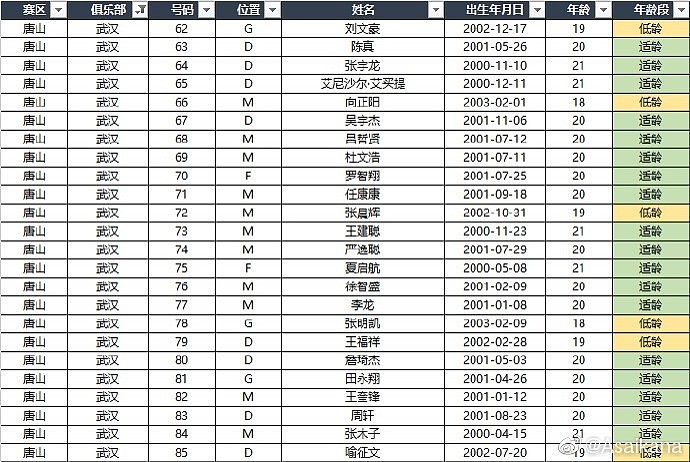 中超各队+U18国足U21联赛名单：高天意、侯永永、何小珂在列 - 10