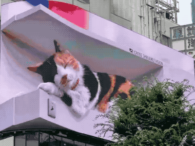巨型喵星人亮相闹市街头，这只电子屏上的3D猫咪化身成热门景点 - 3