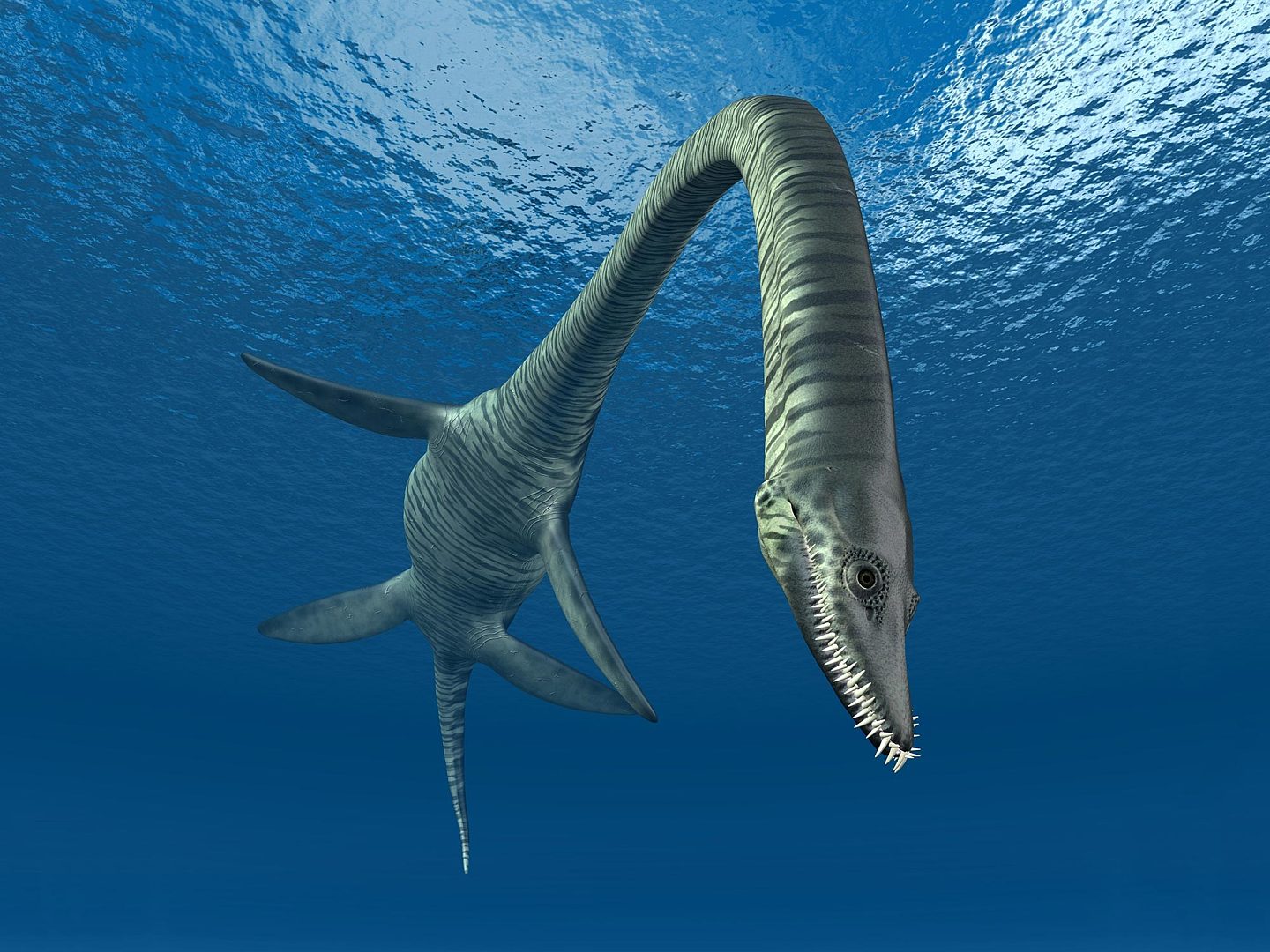 研究发现巨大的身体有助于具有极长颈部的远古海洋爬行动物轻松游动 - 1