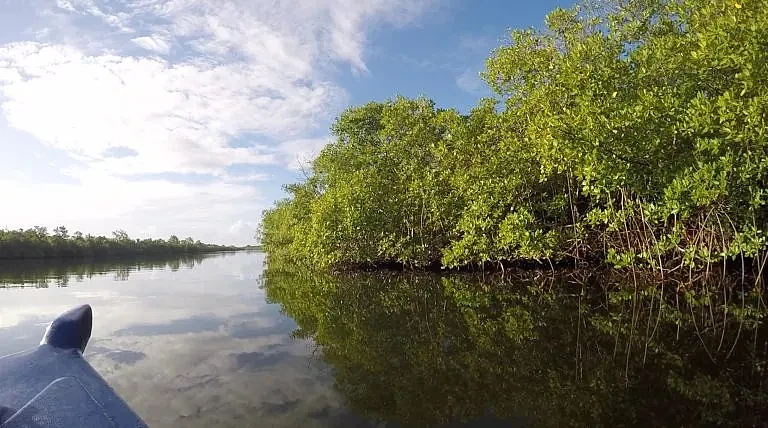 Thiomargarita-Sampling-Sites-in-Guadeloupe-768x428.webp