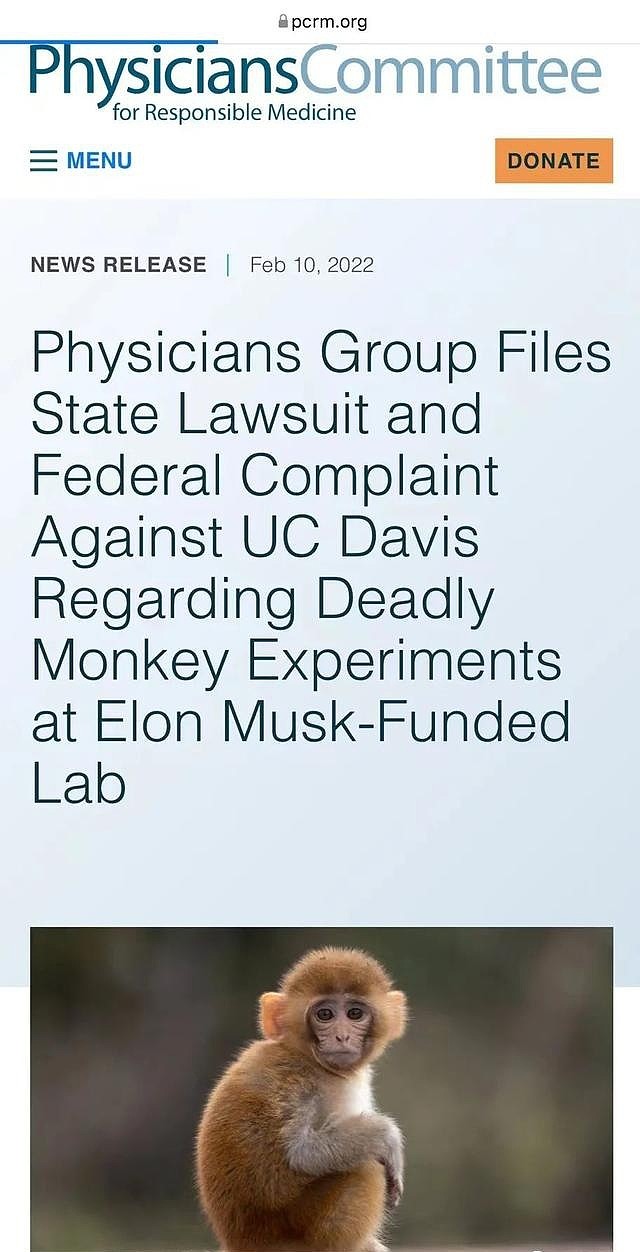 马斯克脑机公司被控诉虐猴：反复感染、癫痫发作、残害致死 - 1