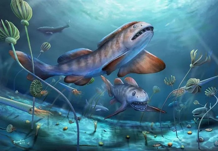 中国首次发现3-5米的史前巨鲨化石 迄今​已有2.9亿年 - 2
