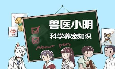 仓鼠认人吗？其实它们的记忆维持很短，习惯和气味更重要 - 1