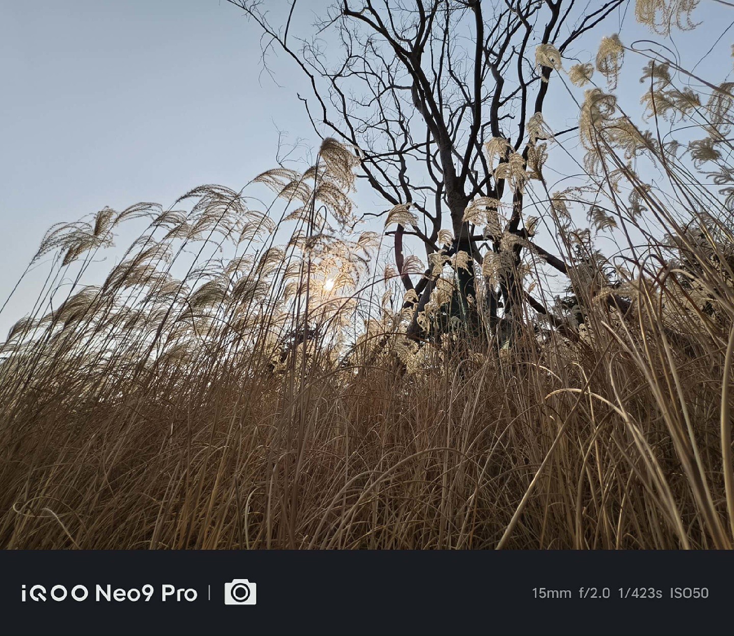 【IT之家评测室】iQOO Neo9 Pro 图文评测：1.5K 直屏、天玑 9300、Q1 电竞芯片，压力给到对手 - 44