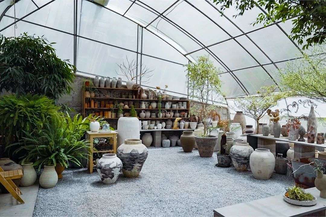 北京夫妻两年无收入，造1500㎡植物园：跟一草一木学做人 - 18
