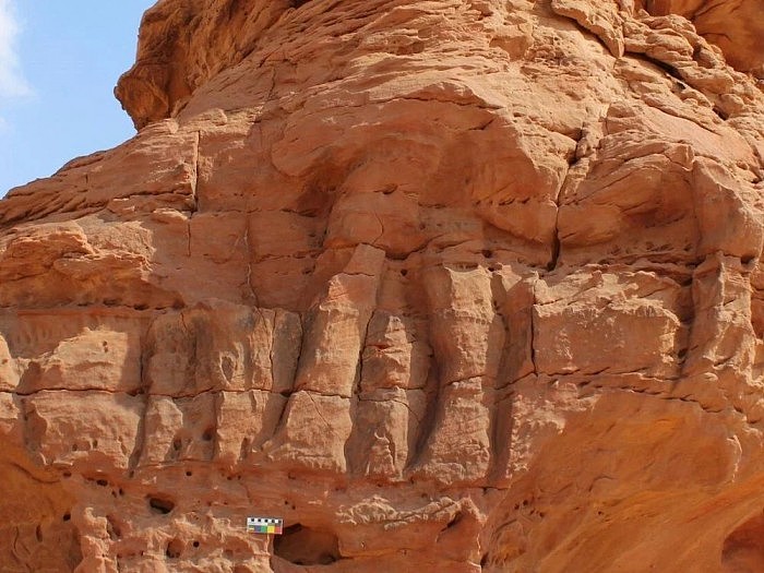 比巨石阵还早 沙特阿拉伯北部的骆驼遗址可追溯到7000-8000年前 - 1