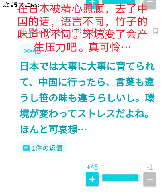 日本网友评大熊猫香香归还之事：要求送给他们，宣言香香的故乡是日本！ - 12