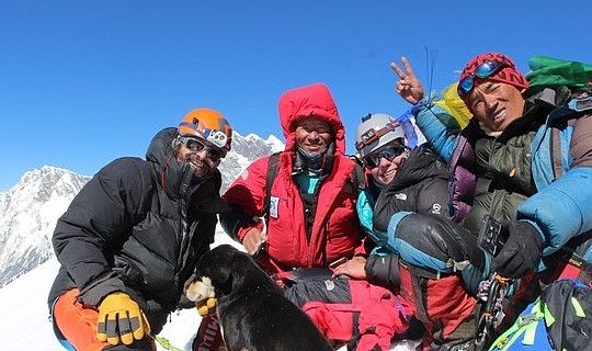 喜马拉雅山第一犬！狗狗陪伴登山队攻顶7千米高峰，结局超暖！ - 1