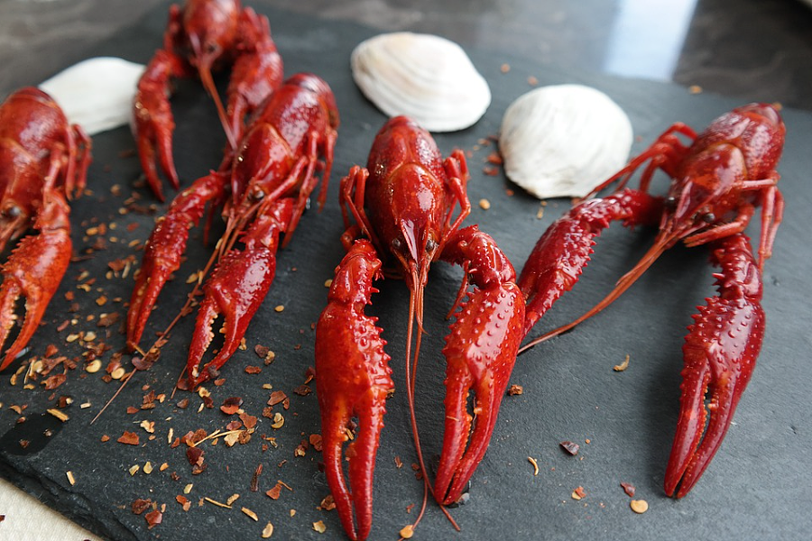 内卷的小龙虾：30万一年的烧虾师、19.9元一盒虾尾，谁在吹高小龙虾产业 - 11