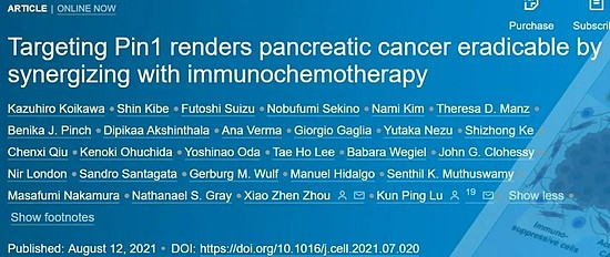 70%小鼠消除胰腺癌：华人科学家提出攻克癌症之王新方法 - 1
