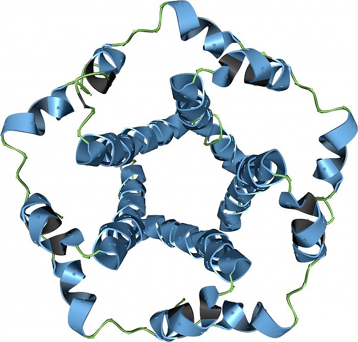 SARS-CoV-2-Envelople-Protein.jpg