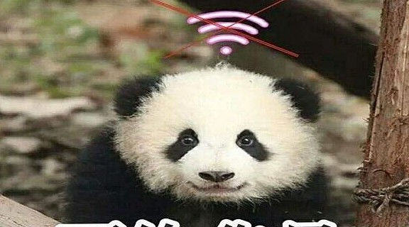 熊猫在墙角缩成一团，意外变身“网红”，网友：乖巧的像玩偶！ - 4