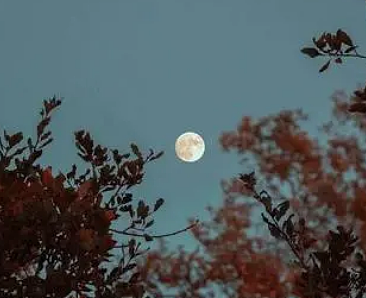 月夜怀乡——解读古诗中的思念之情 - 1