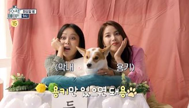 頌樂與姊姊幫愛犬預約自助照相館合影。(圖/截至節目MBC《戶籍伴侶》)
