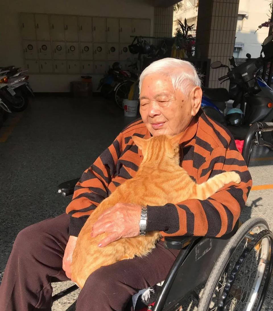 93岁奶奶靠轮椅代步终日厌世，遇橘猫后性格转变，全家都感谢它 - 5