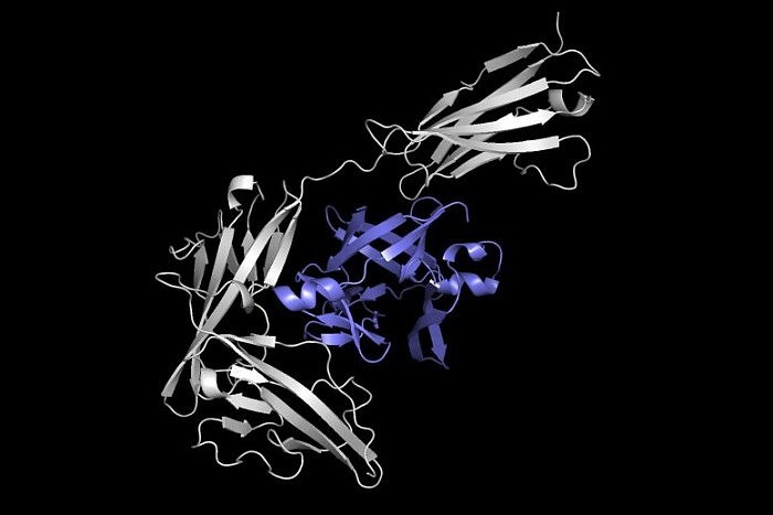 Protein-Docking-777x518.jpg