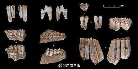 在河南发现3.2万年前的人类头骨化石 这究竟意味着什么？ - 3