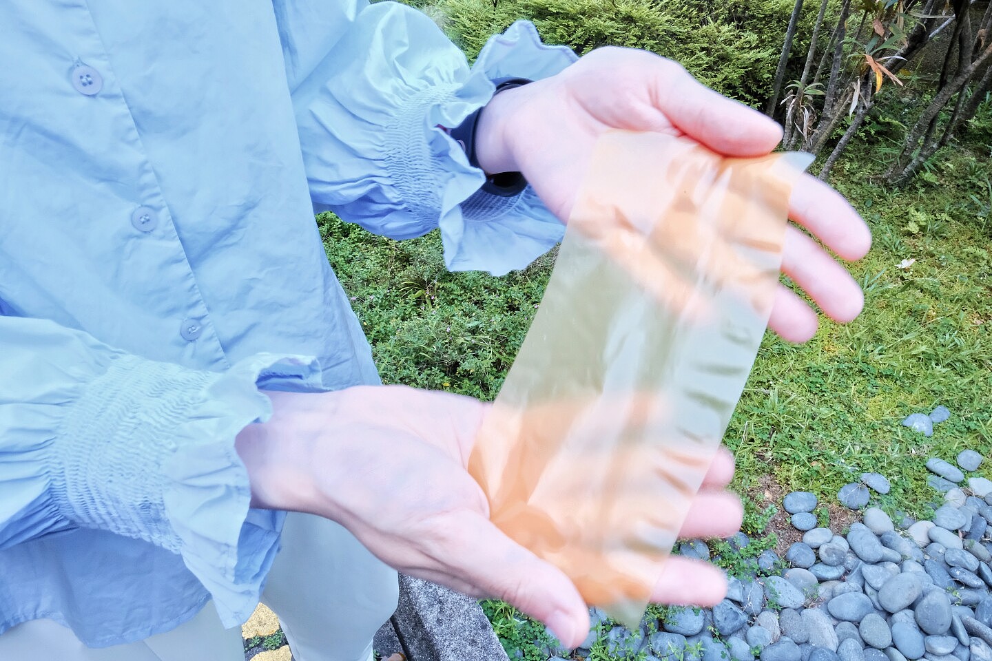 研究人员用向日葵花粉制造出可通过化学方法擦除并重写的纸张 - 2