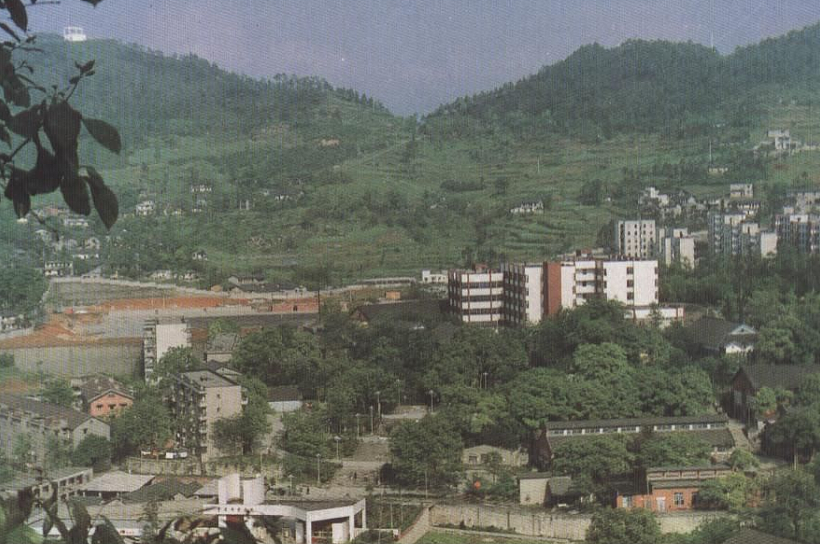 重庆邮电学院（1990 年）