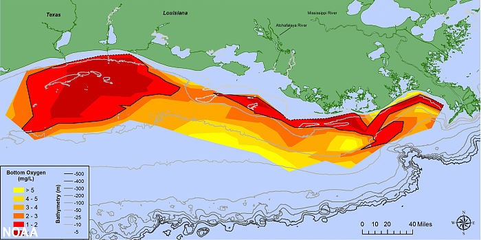 墨西哥湾死亡区面积高达6334平方英里 可杀死鱼类和海洋生物 - 3