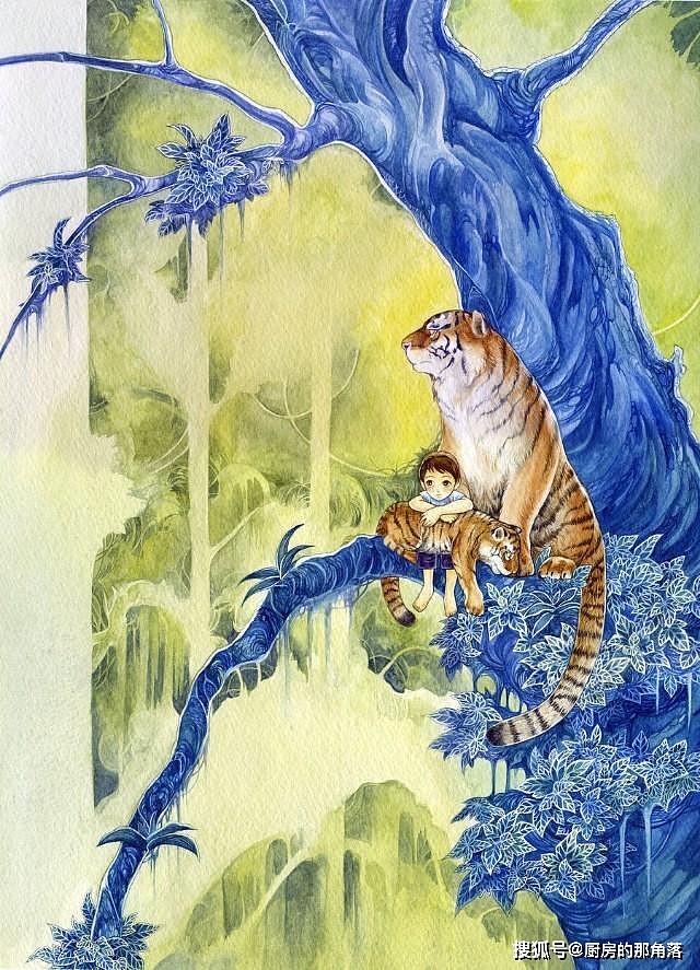 中国境内生活过的七种老虎，祖先都是中华古猫，华北虎最可惜 - 9