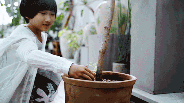 北京夫妻两年无收入，造1500㎡植物园：跟一草一木学做人 - 38