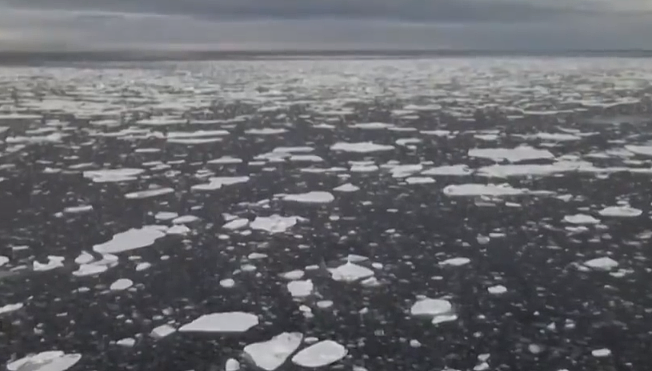 3月南极洲出现极端高温 海冰面积缩小至历史新低 - 1