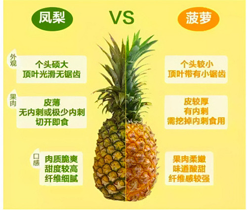 菠萝和凤梨到底是不是同一种水果 - 1