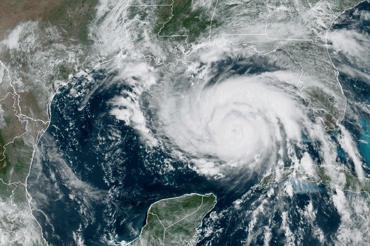 飓风“艾达”即将登陆美国墨西哥湾沿岸 救援物资已发往相关地区 - 1