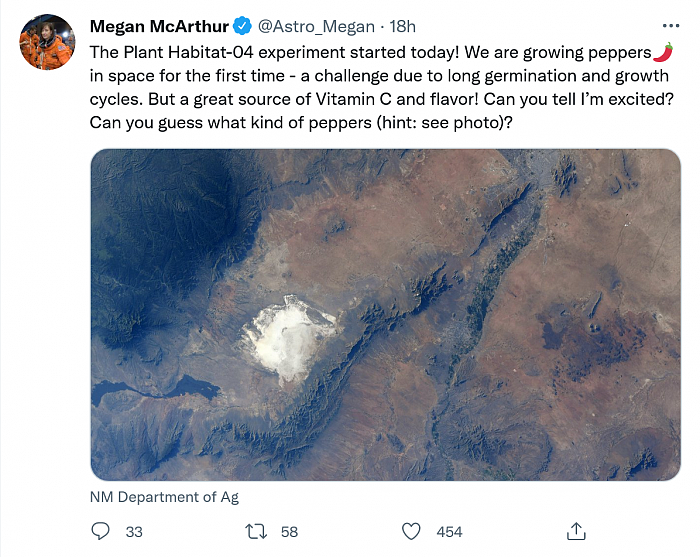 Screenshot_2021-07-13 Megan McArthur on Twitter.png