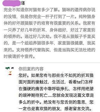 应广大网友的要求，今天我们来谈一下：折耳猫 - 3