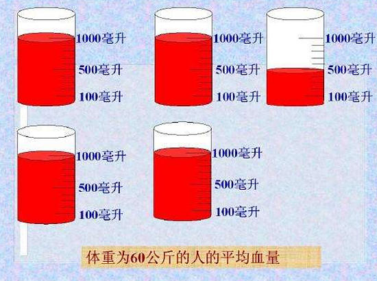 小伙被骗到柬埔寨当“血奴” 多次大量抽血对身体有何危害？ - 9