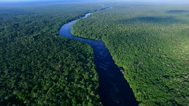 “地球之肺”连年被破坏 亚马孙雨林8月发生近3万起火灾 - 1