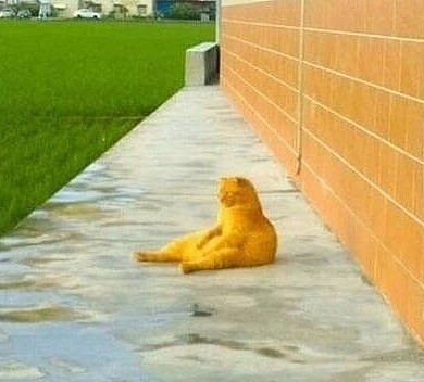 橘猫坐在田边思考喵生，像失恋一般惆怅靠墙，喵：小鱼干你在哪？ - 1