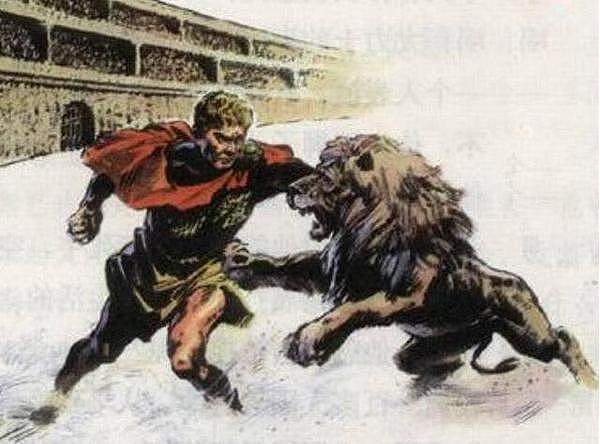 巴巴里狮vs东北虎，谁才是真正的猫科之王？结果竟然也是三七开 - 4