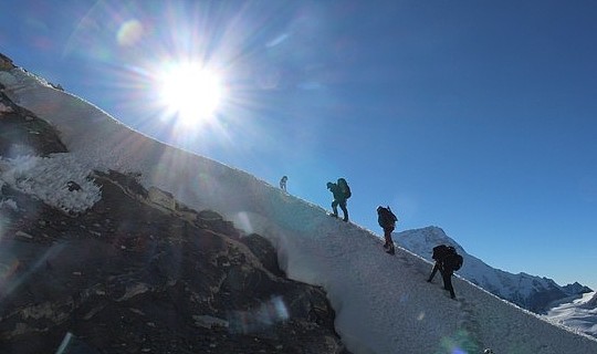 喜马拉雅山第一犬！狗狗陪伴登山队攻顶7千米高峰，结局超暖！ - 5